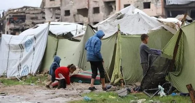 “Hamas”: Appeals to Bring Suitable Shelter Materials into Gaza Have Not Been Heeded