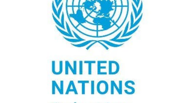United Nations: Settler Violence Escalates Against Palestinian Communities in Northern Jordan Valley