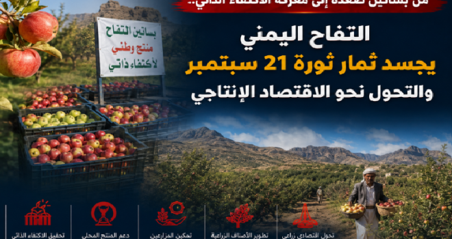 From the orchards of Saada to the battle for self-sufficiency… Yemeni apples embody the fruits of the September 21 revolution and the shift towards a productive economy